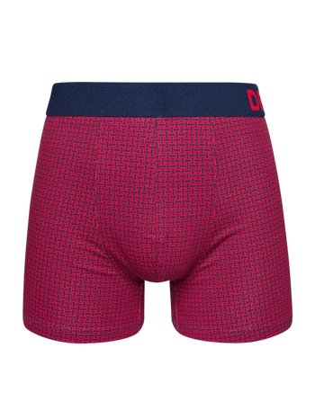 Blue & Red Men's Patterned Trunks