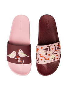 Slides Birds & Berries