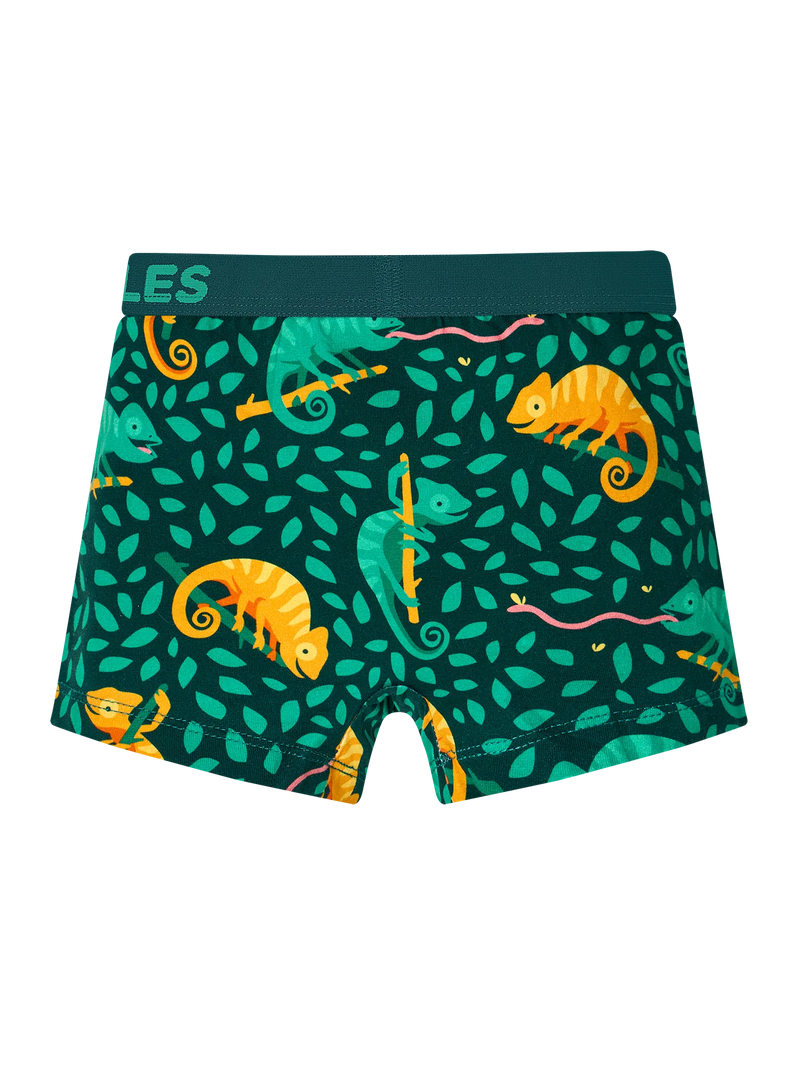 boys-boxers-hunting-chameleon-59/599cf930dd6930705069db652c962425fde074e6