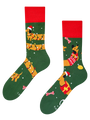 regular-socks-dachshund-presents-5a/5aaceccc404053ef2ceeb3abd5146cc0239c492a