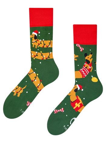 Regular Socks Dachshund & Presents