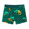 Boys' Boxers Hunting Chameleon
