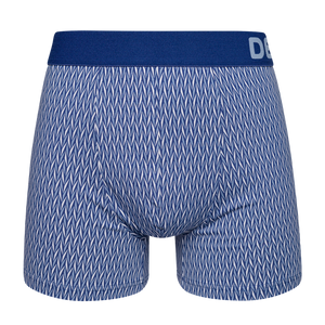 Blue & Grey Men's Patterned Trunks