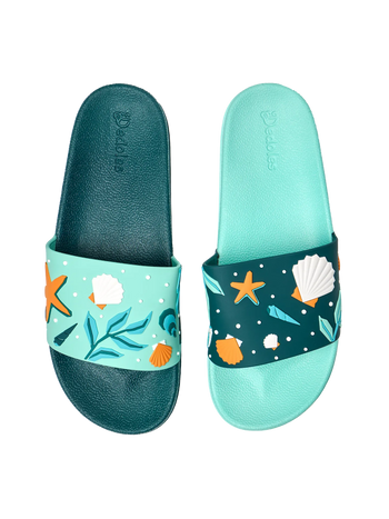 Slides Seashells
