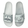 Slides Racoon