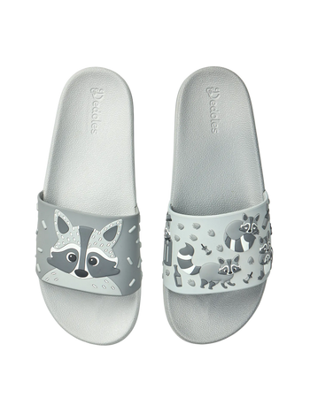 Slides Racoon