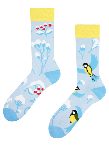 Warm Socks Winter Bird