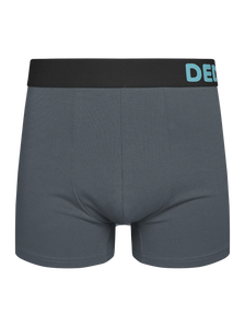 Grey Men's Trunks