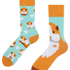 Regular Socks Guinea Pig