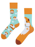 Regular Socks Guinea Pig