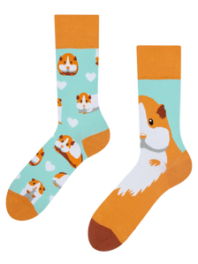 Regular Socks Guinea Pig