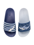 Kids' Slides Grey Shark