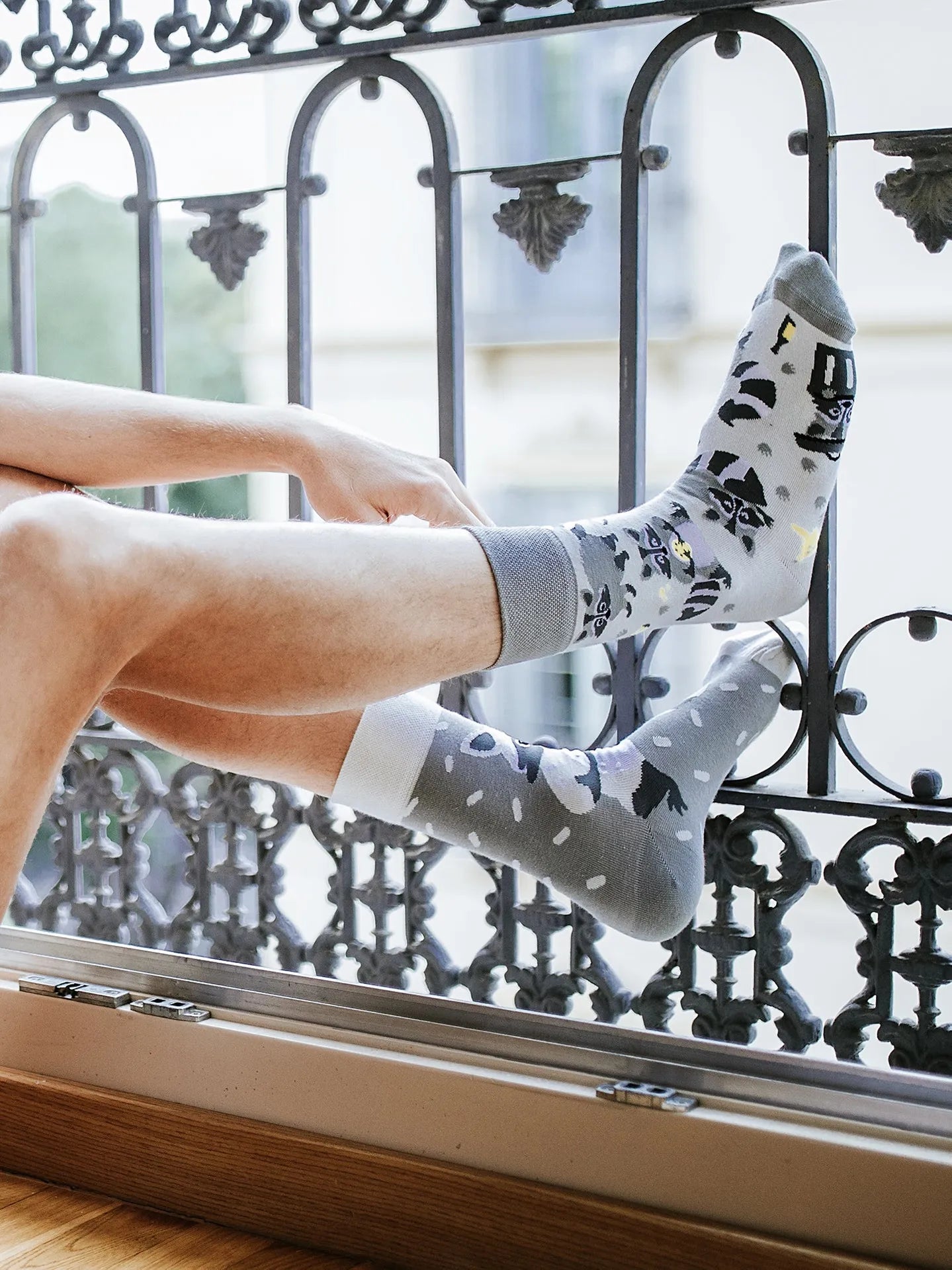 regular-socks-racoon-6a/6acad215d57996ca4f059d3bc6ecb5cb7df1b655