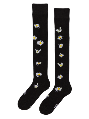Over the Knee Socks Daisies at Night