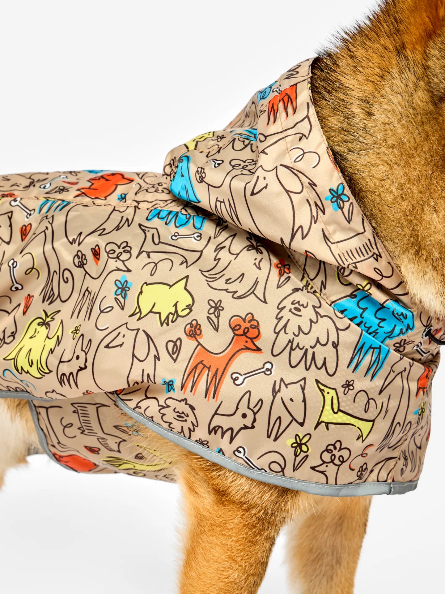 dog-raincoat-dog-pack-70/704e2d73cadcdde08f863785a31405f3f3ec4417