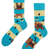 Regular Socks Dogs & Stripes