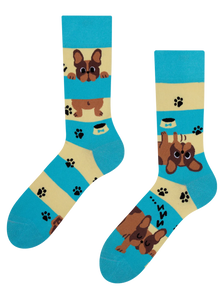 Regular Socks Dogs & Stripes