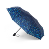 Umbrella Raindrops