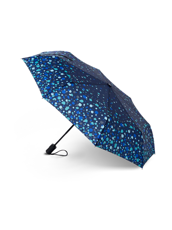 Umbrella Raindrops
