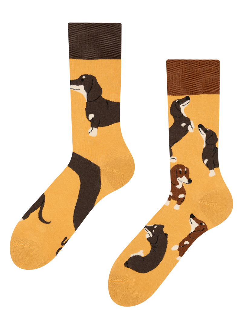 regular-socks-dachshunds-02-bd/bd9d2520ad96e30ffce16167abfdf52f78f20d4b