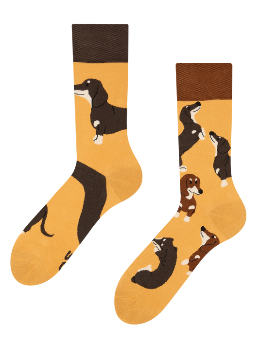 regular-socks-dachshunds-02-bd/bd9d2520ad96e30ffce16167abfdf52f78f20d4b