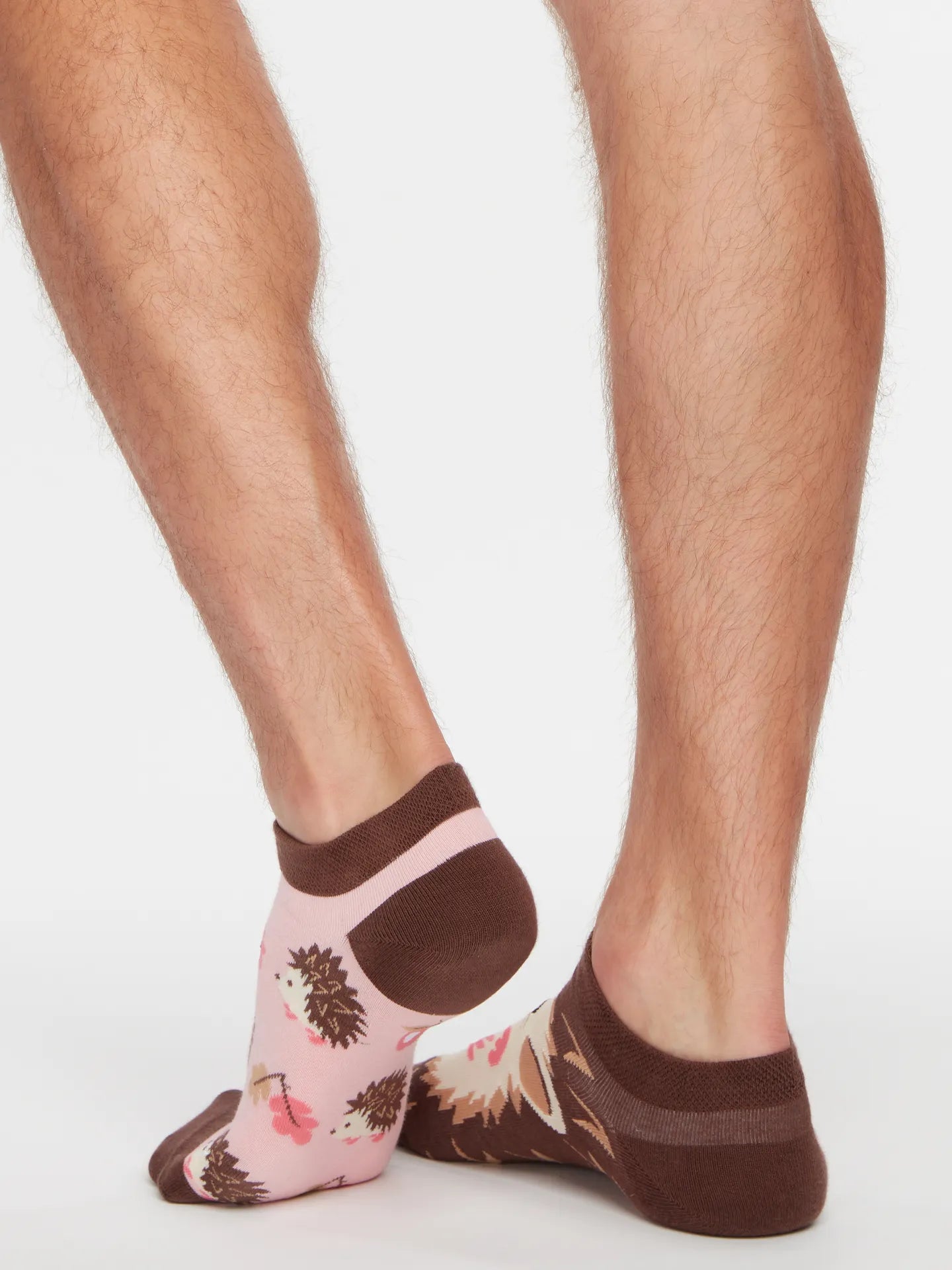 ankle-socks-hedgehog-78/78114f83a0a63191b190e15a1490079ad1a68936