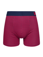 Blue & Red Men's Patterned Trunks