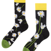 Regular Socks Daisies at Night