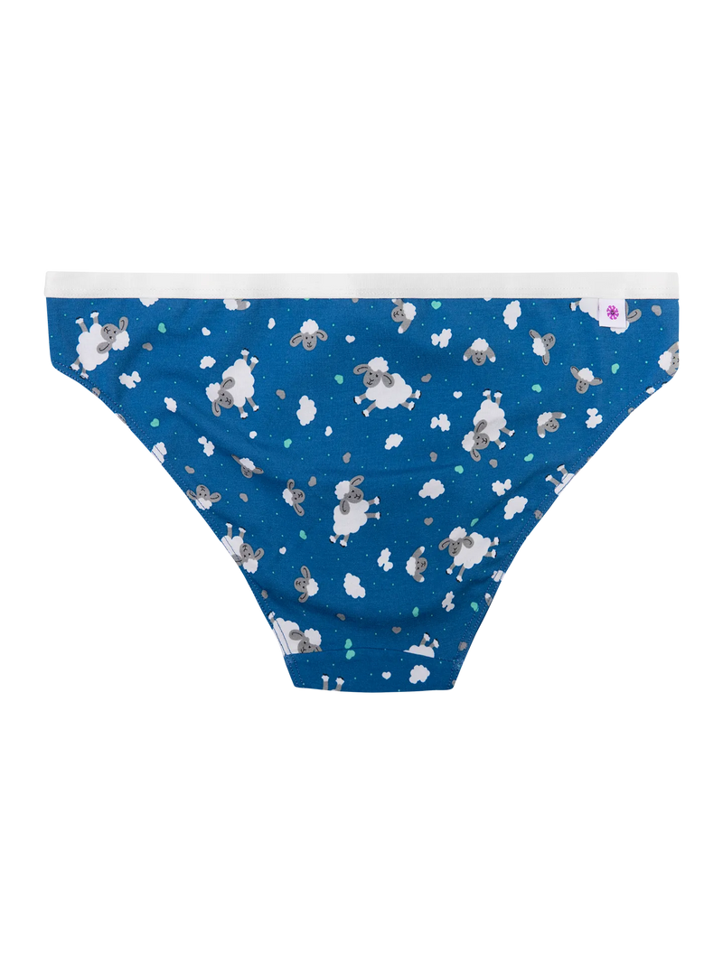 womens-briefs-sheep-clouds-7e/7e500ecbf02b73149994e0f9c04d731d5f804ea8