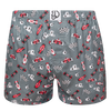 Men's Boxer Shorts Formula Racing
