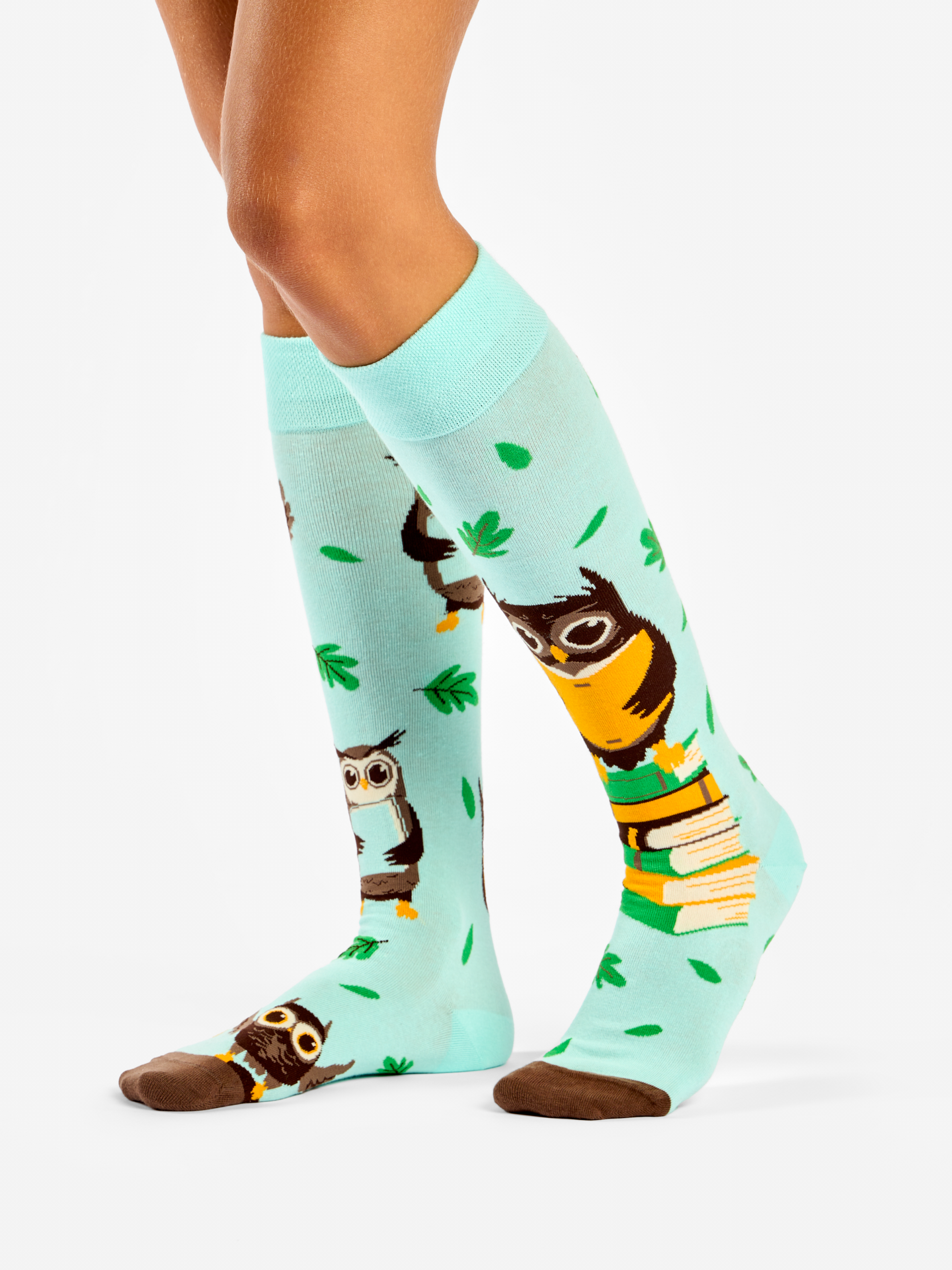 knee-high-socks-owl-books-b5/b57d9e43b34dd00453370d9c208b5d40b6c8a484