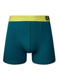 Teal & Yellow Men's Trunks