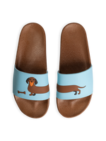 Slides Long Dachshund