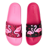 Slides Flamingos & Hearts