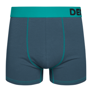 Grey & Turquoise Men's Trunks