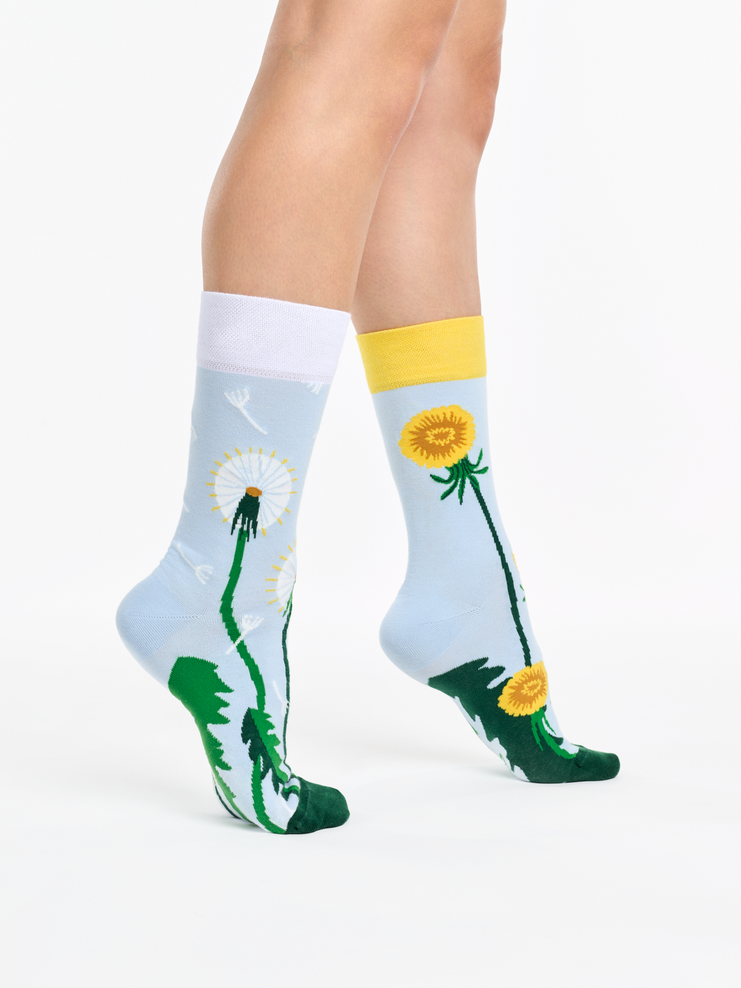 regular-socks-dandelion-spring-02-0f/0f4d498207aae479bdc2ae708a84da5041c742a7