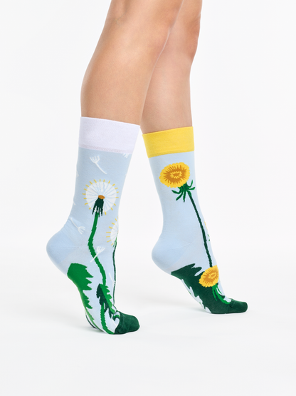 regular-socks-dandelion-spring-02-0f/0f4d498207aae479bdc2ae708a84da5041c742a7