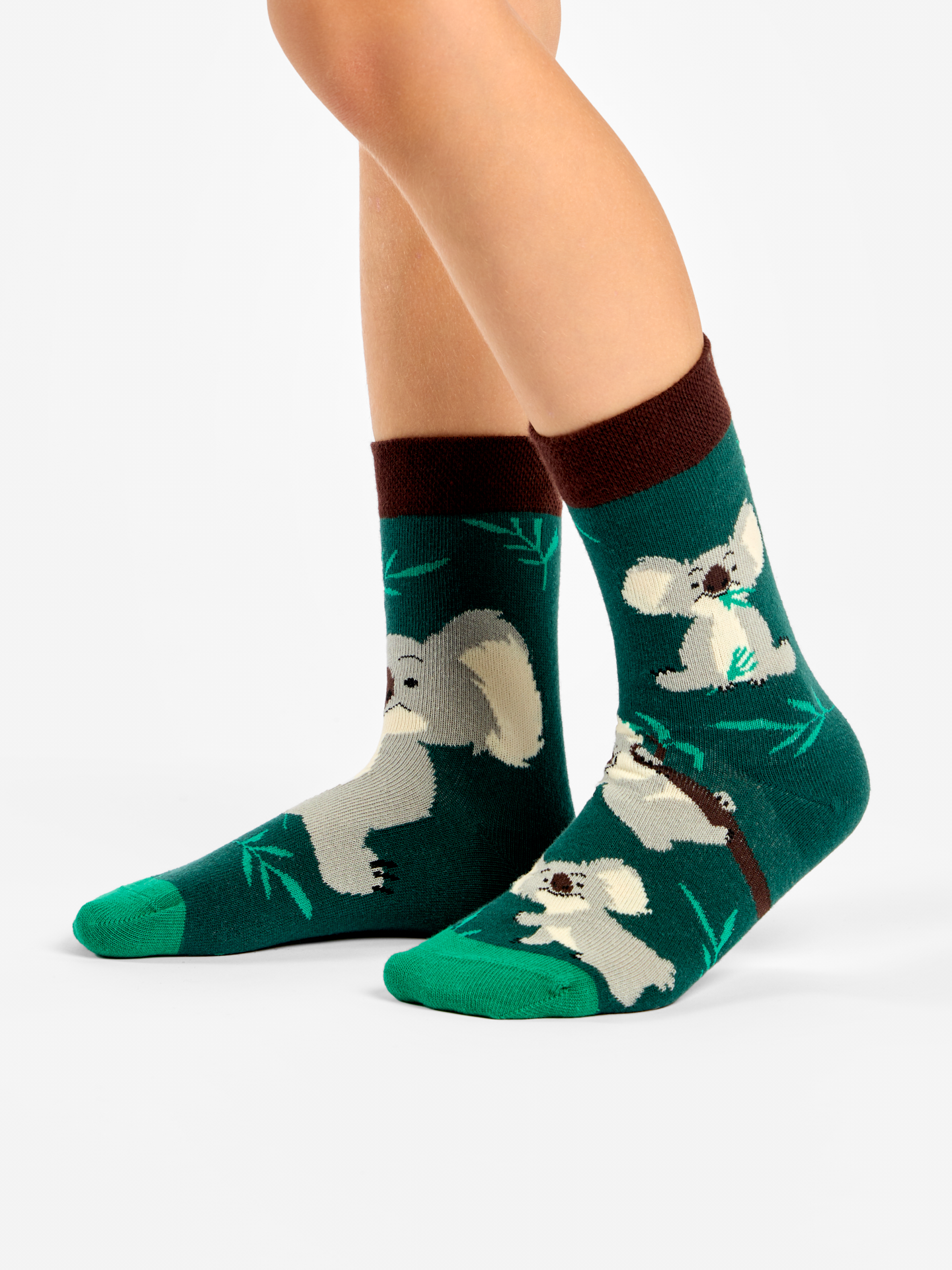 kids-socks-koala-leaves-54/54abdfb924cb6f3b22d11b16f7056da92f81e05f