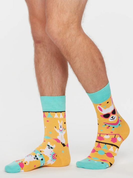 regular-socks-cool-llama-02-8c/8ccca5eba07c74d4fb2e9aa9fe7f1421f3013674