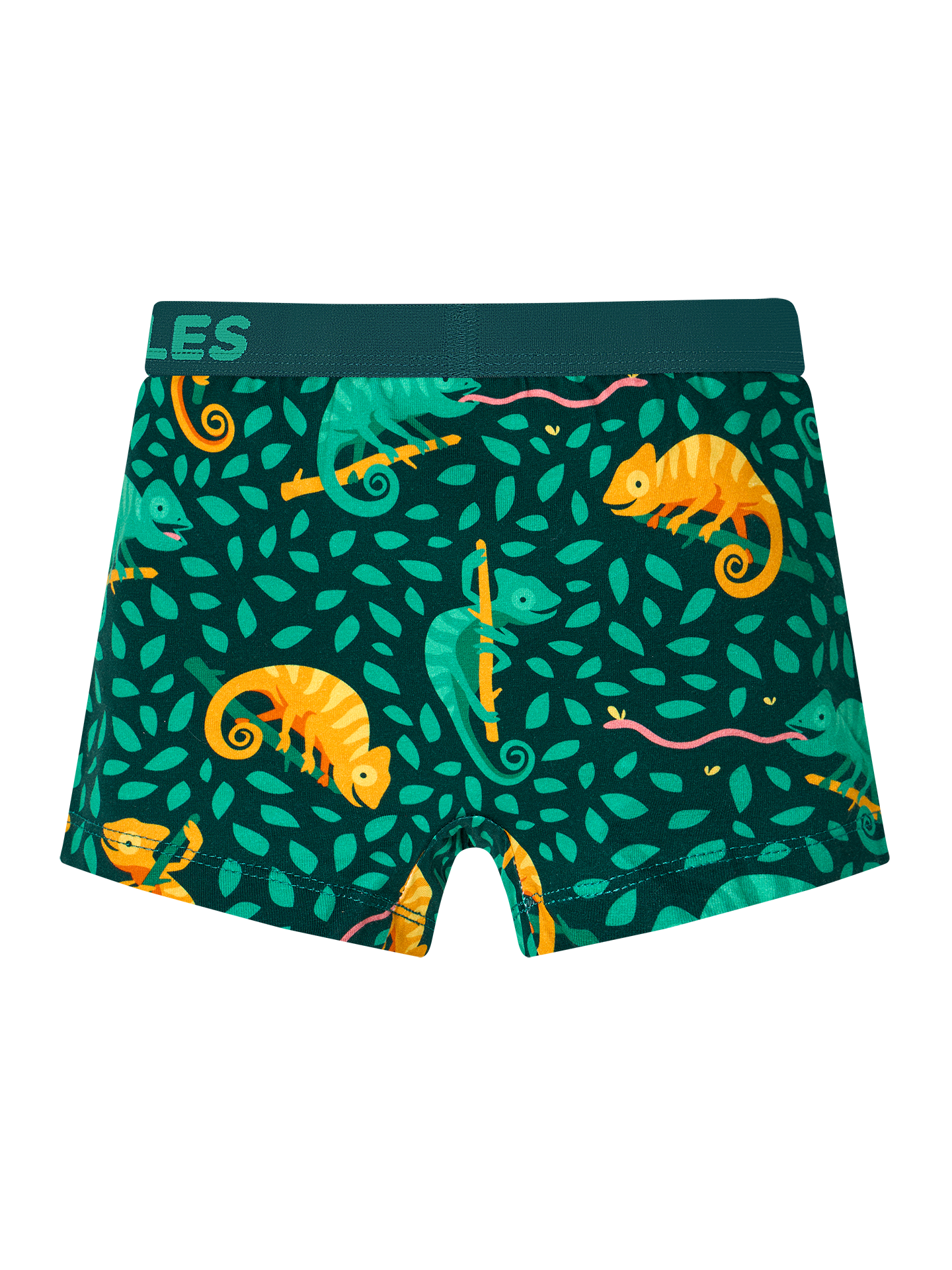 boys-boxers-hunting-chameleon-72/729d72e5427f32f047d2683d808527bef8c7a42a