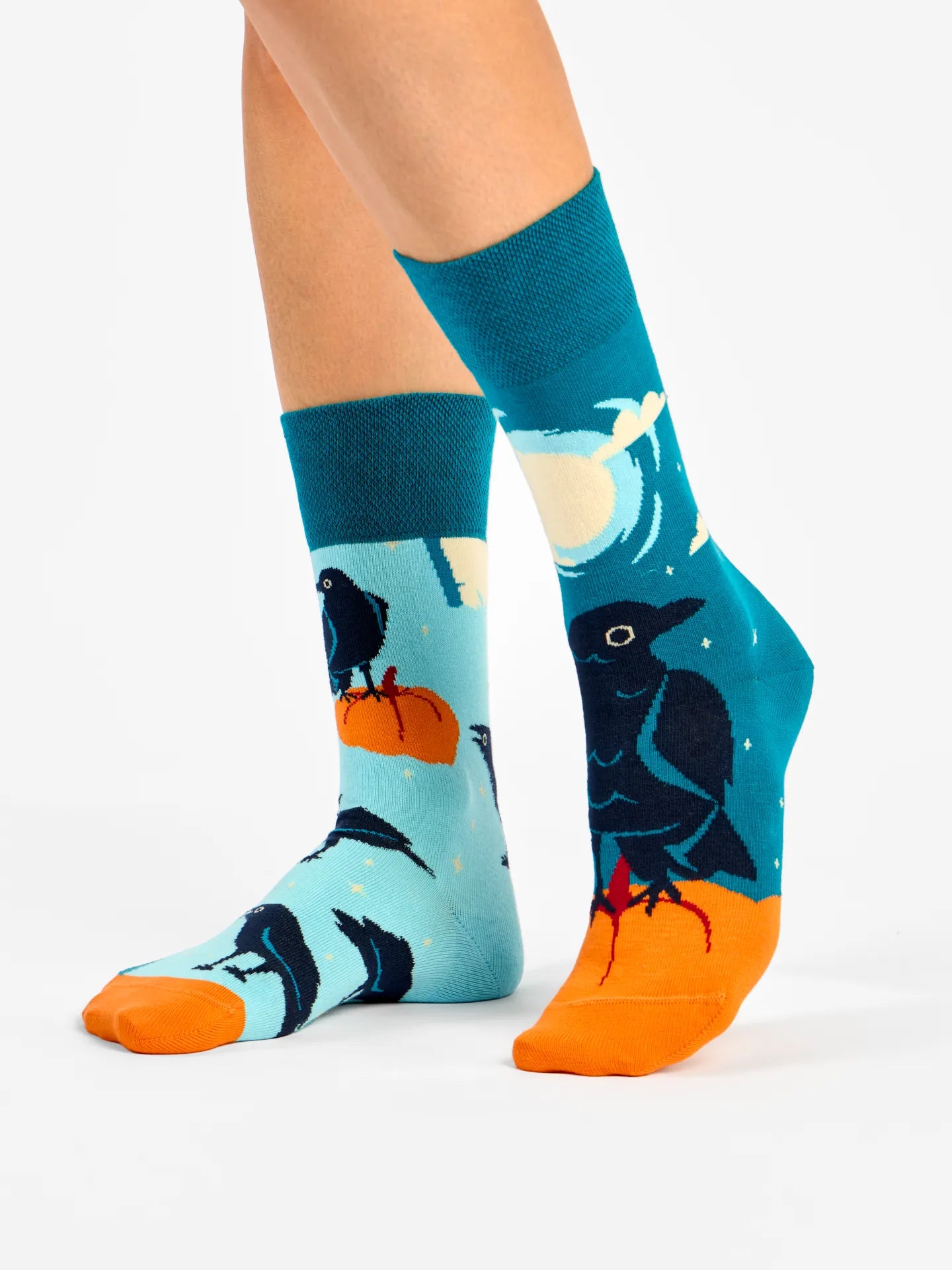 regular-socks-night-crow-2d/2d35576f74eee558ecae402cf47d37ff9d673889