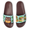Slides Owl & Books