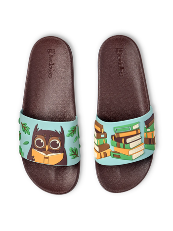 Slides Owl & Books