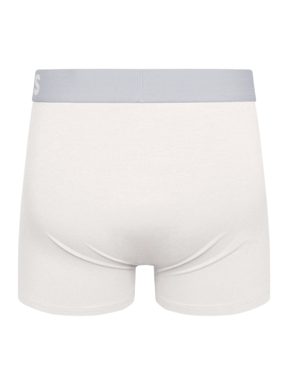 true-white-mens-trunks-96/96aa86111560456657db90fd8ad059845ef35be7