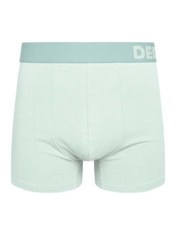 Mint Green Men's Trunks
