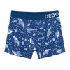 Boys' Boxers Grey Shark