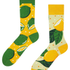 Regular Socks Lime & Lemon