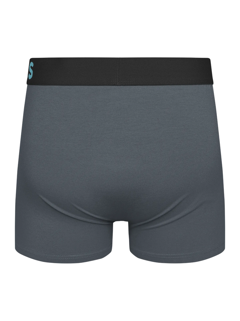 grey-mens-trunks-1-9b/9b8ff4a50d4238475e919c67b2c5695d753a1ae2