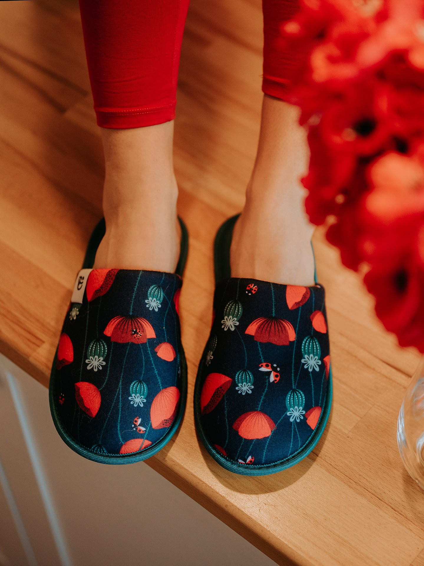 slippers-ladybugs-poppy-flowers-72/72ea7dd1a81936d3ecf417cdf6033cc03affc462