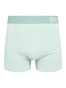 Mint Green Men's Trunks